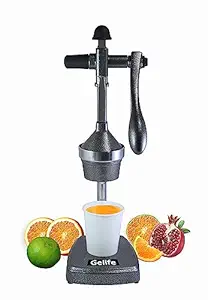 Hand Press Juicer