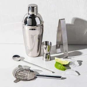 Professional Stainless Steel Cocktail Shaker Set