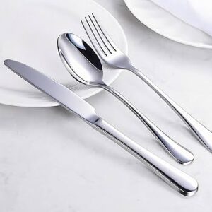 Stainless Steel Flatware Set